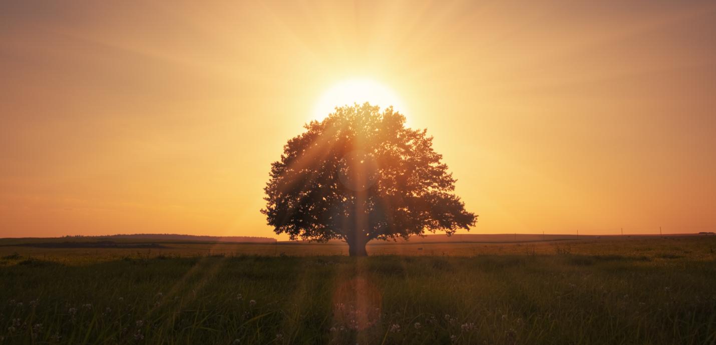 magical sunset