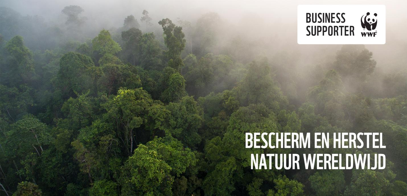 Business supporter WWF