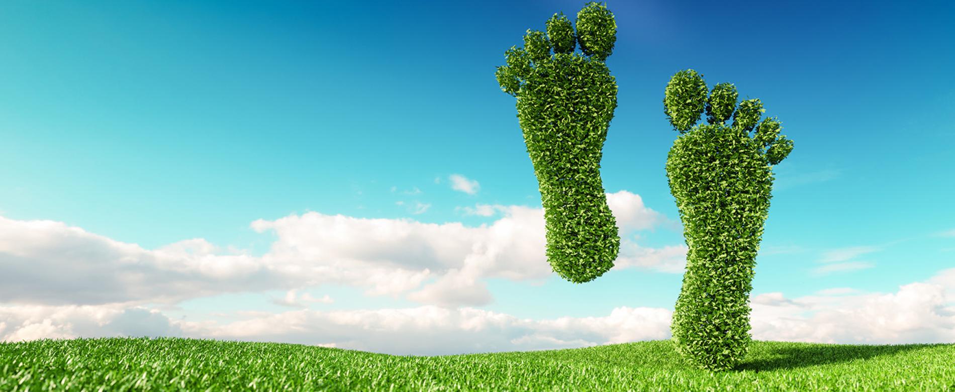 Carbon footprints, made out of plants