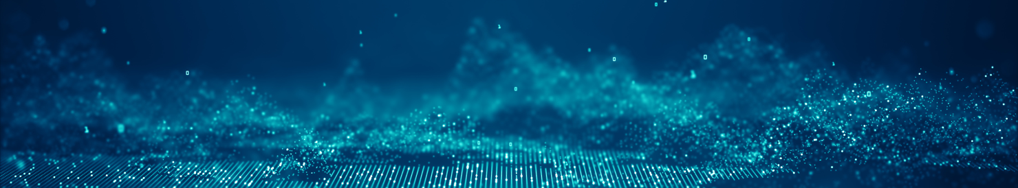 Banner CCX Consulting CCD