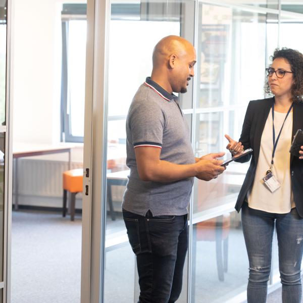 applicatie consultant