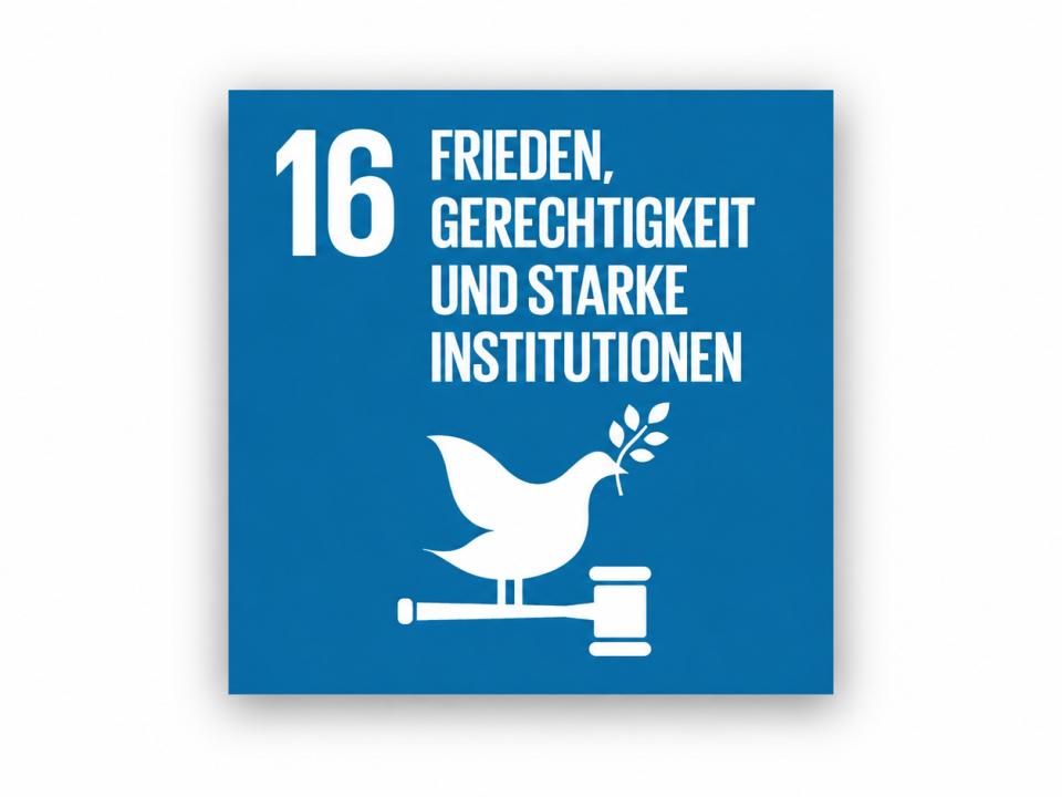 SDG 16